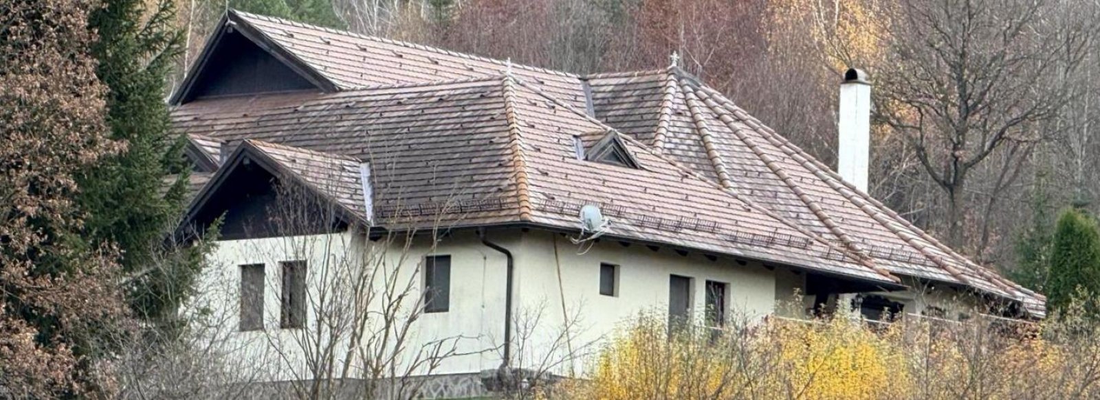 CIC Proiect